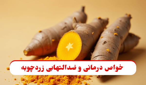 عکس شاخص از زردچوبه‌های تازه با رنگ طلایی گرم و زمینه طبیعی، نماد خواص درمانی و ضدالتهابی ادویه زردچوبه