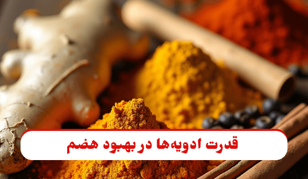 تصویر شاخص با ترکیب ادویه‌های متنوع برای بهبود هضم و سلامتی معده و روده