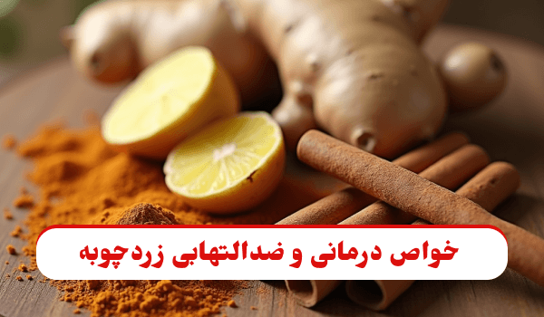 چگونه ادویه‌ها سیستم ایمنی بدن را تقویت می‌کنند؟ دو ادویه مهم زنجبیل و دارچین روی میز چوبی با نور گرم و طبیعی